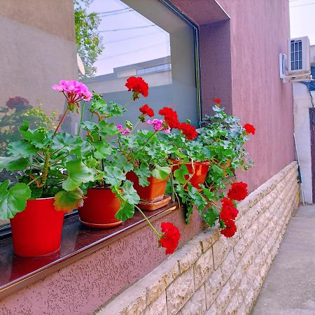 Luta Studio بوخارست المظهر الخارجي الصورة